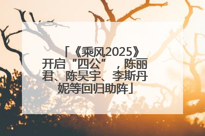《乘风2025》开启“四公”，陈丽君、陈昊宇、李斯丹妮等回归助阵