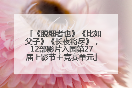 《脱缰者也》《比如父子》《长夜将尽》，12部影片入围第27届上影节主竞赛单元