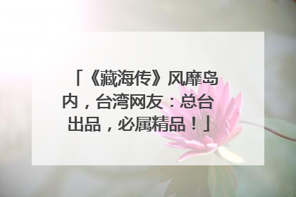 《藏海传》风靡岛内，台湾网友：总台出品，必属精品！