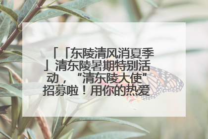 「东陵清风消夏季」清东陵暑期特别活动，“清东陵大使”招募啦！用你的热爱守护世界遗产！