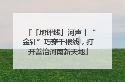 「地评线」河声丨“金针”巧穿千根线，打开善治河南新天地