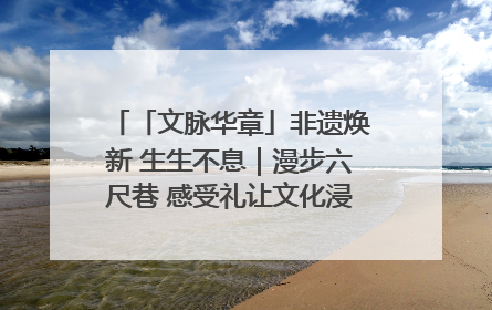 「文脉华章」非遗焕新 生生不息｜漫步六尺巷 感受礼让文化浸润的“巷”往生活