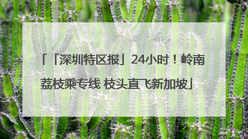 「深圳特区报」24小时！岭南荔枝乘专线 枝头直飞新加坡