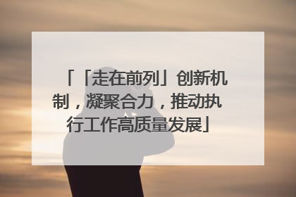 「走在前列」创新机制，凝聚合力，推动执行工作高质量发展
