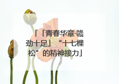 「青春华章·赣劲十足」“十七棵松”的精神接力