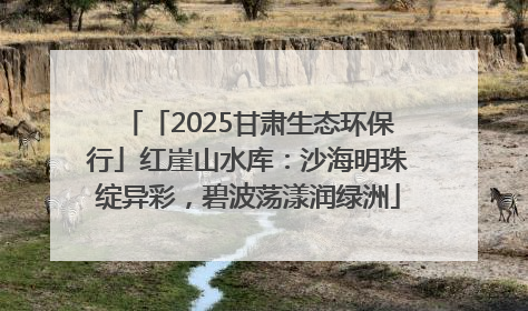 「2025甘肃生态环保行」红崖山水库：沙海明珠绽异彩，碧波荡漾润绿洲