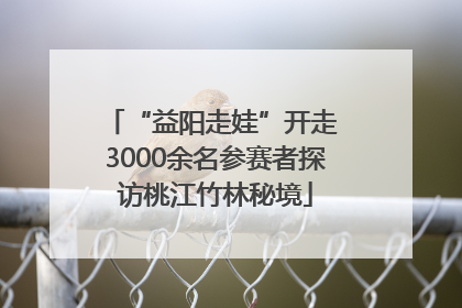 “益阳走娃”开走 3000余名参赛者探访桃江竹林秘境