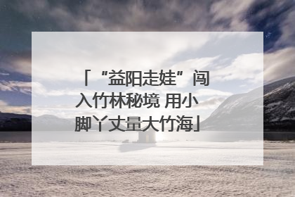 “益阳走娃”闯入竹林秘境 用小脚丫丈量大竹海
