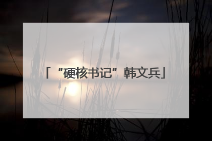 “硬核书记”韩文兵