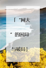 “网大”的困局与破局