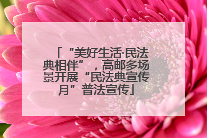 “美好生活·民法典相伴”，高邮多场景开展“民法典宣传月”普法宣传