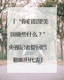 “你们指望美国做些什么？”央视记者提问巴勒斯坦代表