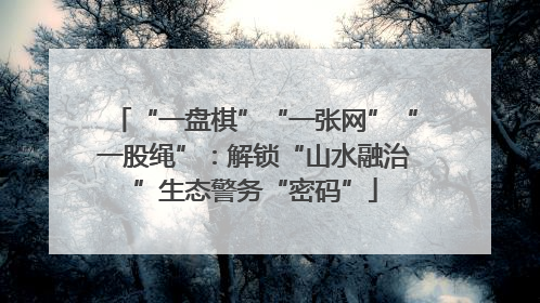 “一盘棋”“一张网”“一股绳”：解锁“山水融治”生态警务“密码”