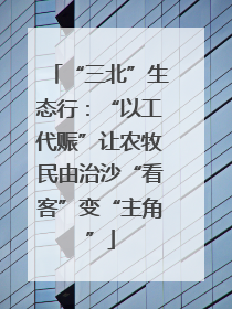 “三北”生态行：“以工代赈”让农牧民由治沙“看客”变“主角”
