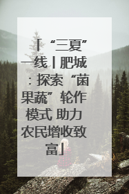 “三夏”一线丨肥城：探索“菌果蔬”轮作模式 助力农民增收致富
