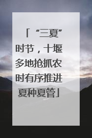 “三夏”时节，十堰多地抢抓农时有序推进夏种夏管