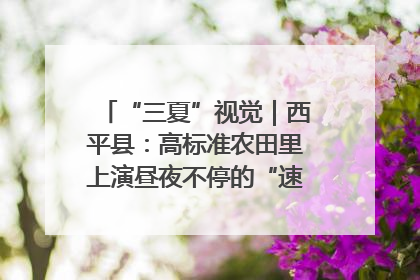 “三夏”视觉｜西平县：高标准农田里上演昼夜不停的“速度与激情”