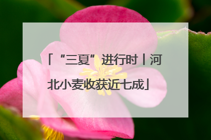 “三夏”进行时丨河北小麦收获近七成