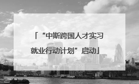 “中斯跨国人才实习就业行动计划”启动