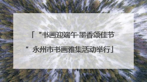 “书画迎端午·墨香颂佳节”永州市书画雅集活动举行