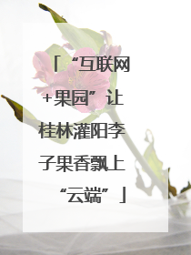 “互联网+果园”让桂林灌阳李子果香飘上“云端”