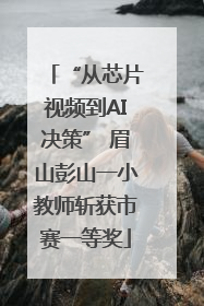 “从芯片视频到AI决策” 眉山彭山一小教师斩获市赛一等奖