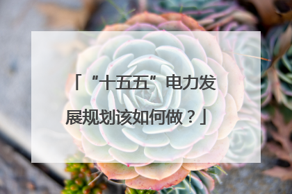 “十五五”电力发展规划该如何做？
