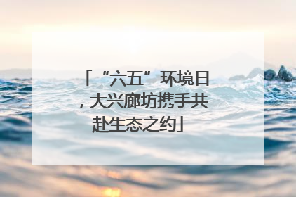 “六五”环境日，大兴廊坊携手共赴生态之约
