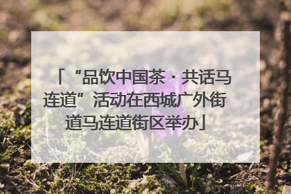 “品饮中国茶・共话马连道”活动在西城广外街道马连道街区举办