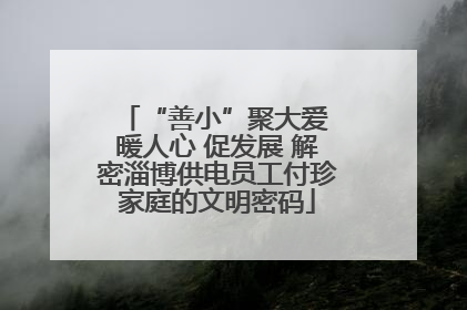 “善小”聚大爱 暖人心 促发展 解密淄博供电员工付珍家庭的文明密码