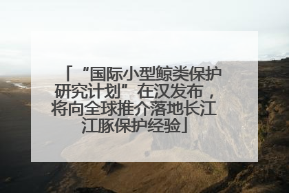 “国际小型鲸类保护研究计划”在汉发布，将向全球推介落地长江江豚保护经验