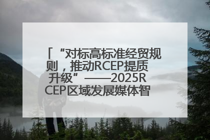 “对标高标准经贸规则，推动RCEP提质升级”——2025RCEP区域发展媒体智库论坛举行专题对话