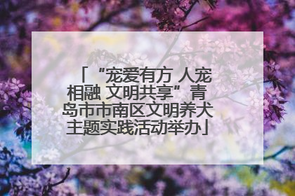 “宠爱有方 人宠相融 文明共享”青岛市市南区文明养犬主题实践活动举办