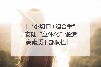 “小切口+组合拳”，安陆“立体化”锻造高素质干部队伍