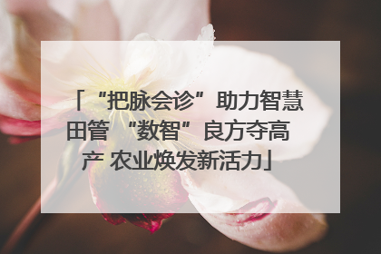 “把脉会诊”助力智慧田管 “数智”良方夺高产 农业焕发新活力
