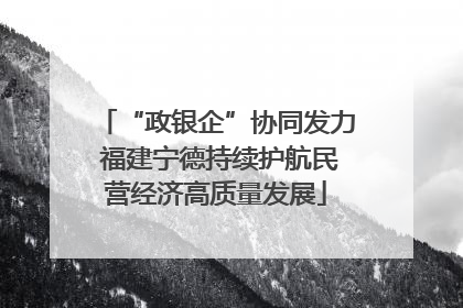 “政银企”协同发力 福建宁德持续护航民营经济高质量发展