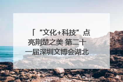 “文化+科技”点亮荆楚之美 第二十一届深圳文博会湖北馆抢“鲜”看