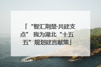 “智汇荆楚·共建支点” 我为湖北“十五五”规划建言献策