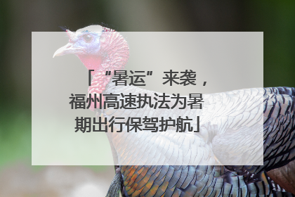 “暑运”来袭，福州高速执法为暑期出行保驾护航