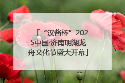 “汉酱杯”2025中国·济南明湖龙舟文化节盛大开幕