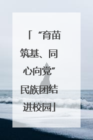 “育苗筑基、同心向党”民族团结进校园