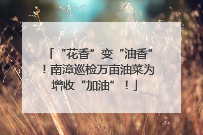 “花香”变“油香”！南漳巡检万亩油菜为增收“加油”！