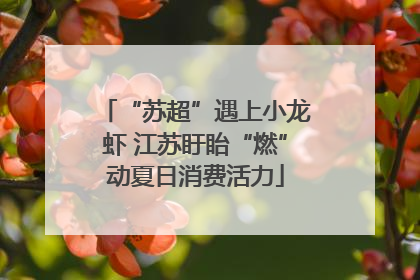 “苏超”遇上小龙虾 江苏盱眙“燃”动夏日消费活力