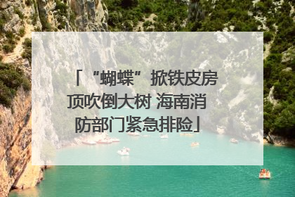 “蝴蝶”掀铁皮房顶吹倒大树 海南消防部门紧急排险