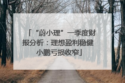 “蔚小理”一季度财报分析：理想盈利稳健 小鹏亏损收窄