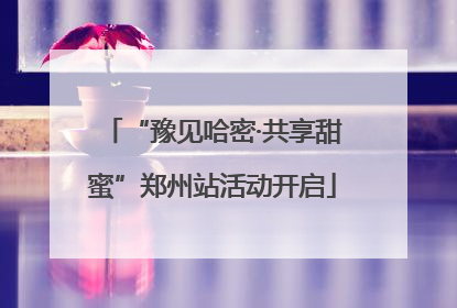 “豫见哈密·共享甜蜜”郑州站活动开启