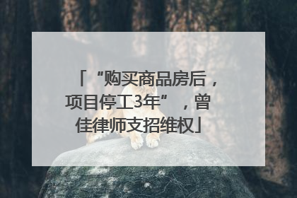 “购买商品房后，项目停工3年”，曾佳律师支招维权