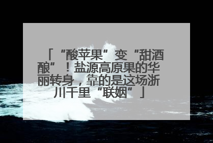 “酸苹果”变“甜酒酿”！盐源高原果的华丽转身，靠的是这场浙川千里“联姻”