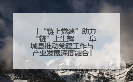 “链上党建”助力“链”上生辉——阜城县推动党建工作与产业发展深度融合