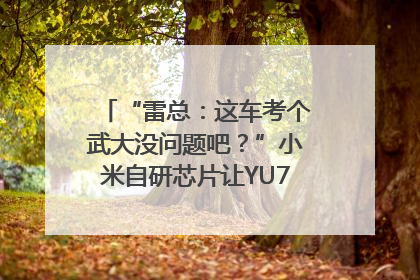 “雷总：这车考个武大没问题吧？”小米自研芯片让YU7会学习｜汽车科技